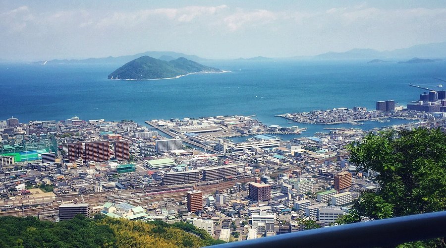 🌳 미네야마 종합공원 (미네야마 소고 코엔) 이미지 1